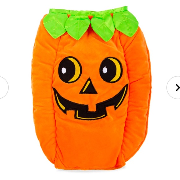 Other - Dog Pumpkin Costume